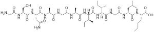 Beta Amyloid 25-35 Nle35 - Echelon Biosciences