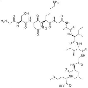 Acetyl Beta Amyloid (25-35) - Echelon Biosciences