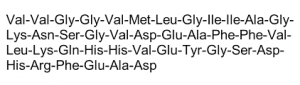 Beta Amyloid (40-1), reverse, human - Echelon Biosciences