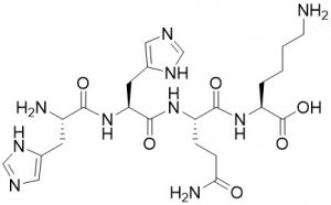 Beta Amyloid 13-16 human - Echelon Biosciences