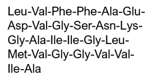 Beta Amyloid (17-42), human - Echelon Biosciences