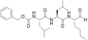 Gamma Secretase inhibitor (CAS 133407-83-7) - Echelon Biosciences