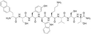SS14 Tumor Inhibitor Analog - Echelon Biosciences