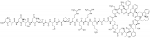 Somatostatin 28 - Echelon Biosciences