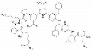 Substance P, neuropeptide - Echelon Biosciences