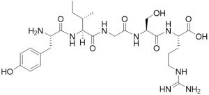 Laminin (929-933) - Echelon Biosciences