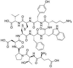 Urotensin II, human - Echelon Biosciences