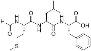 fMLP Chemotactic Peptide - Echelon Biosciences