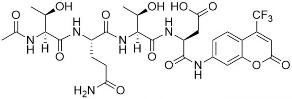Ac-Thr-Gln-Thr-Asp-AFC (DRONC Substrate) - Echelon Biosciences