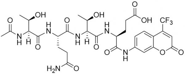Ac-Thr-Gln-Thr-Glu-AFC (DRONC Substrate I) - Echelon Biosciences