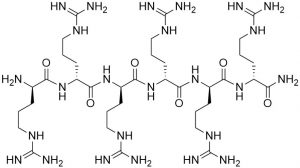Furin Inhibitor II