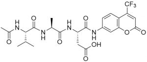 Ac-Val-Ala-Asp-AFC (Caspase 1 (ICE) Substrate, fluorogenic) - Echelon Biosciences