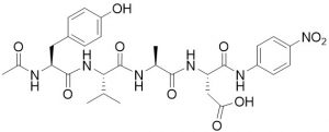 Caspase 1 (ICE) Substrate, colorimetric (CAS 149231-66-3), Ac-YVAD-pNA - Echelon Biosciences