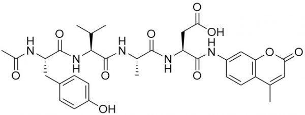 Ac-Tyr-Val-Ala-Asp-AMC (Caspase 1 (ICE) Substrate) - Echelon Biosciences