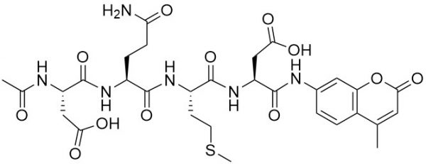 Ac-Asp-Gln-Met-Asp-AMC (Caspase 3 (Apopain) Substrate, Fluorogenic) - Echelon Biosciences