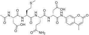 Ac-Asp-Met-Gln-Asp-AMC, Caspase 3 (Apopain) Substrate, fluorogenic - Echelon Biosciences