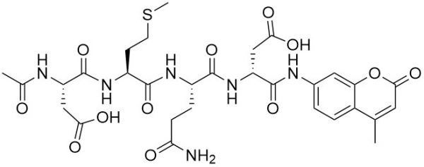 Ac-Asp-Met-Gln-Asp-AMC, Caspase 3 (Apopain) Substrate, fluorogenic - Echelon Biosciences