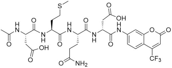 Ac-Asp-Met-Gln-Asp-AFC (Caspase 3 Substrate, fluorogenic) - Echelon Biosciences