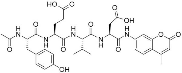Ac-Tyr-Glu-Val-Asp-AMC (Caspase 1 (ICE) Substrate) - Echelon Biosciences
