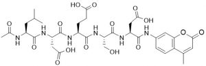 Ac-Leu-Asp-Glu-Ser-Asp-AMC (Caspase 2/3 Substrate) - Echelon Biosciences