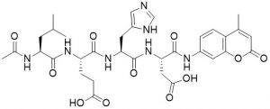 Ac-Leu-Glu-His-Asp-AMC (Caspase 9 Substrate) - Echelon Biosciences