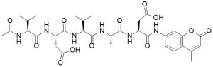 Ac-Val-Asp-Val-Ala-Asp-AMC (Caspase 2 (ICH-1) Substrate)