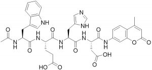 Ac-Trp-Glu-His-Asp-AMC (Caspase 1 (ICE) Substrate)
