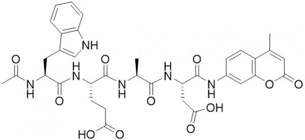 Ac-Trp-Glu-Ala-Asp-AMC (Caspase 1 (ICE) Substrate)