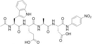 Ac-Trp-Glu-Ala-Asp-pNA (Caspase 1 (ICE) Substrate)