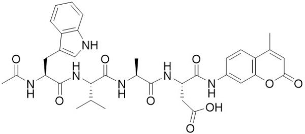 Ac-Trp-Val-Ala-Asp-AMC (Caspase 1 (ICE) Substrate)