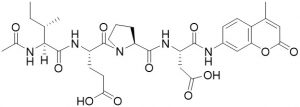 Ac-Ile-Glu-Pro-Asp-AMC (Caspase 8/Granzyme B Substrate) - Echelon Biosciences