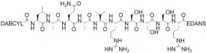 Dabcyl-Leu-Ala-Gln-Ala-Val-Arg-Ser-Ser-Ser-Arg-EDANS (TACE Substrate) - Echelon Biosciences