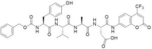 Z-Tyr-Val-Ala-Asp-AFC (Caspase 1 Substrate) - Echelon Biosciences