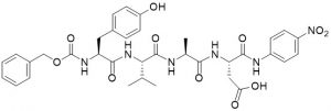 Z-Tyr-Val-Ala-Asp-pNA - Echelon Biosciences