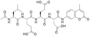 Ac-Leu-Glu-Glu-Asp-AMC - Echelon Biosciences