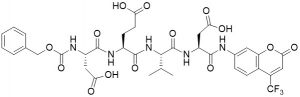 Z-Asp-Glu-Val-Asp-AFC (Caspase 3 (Apopain) Substrate) - Echelon Biosciences