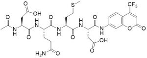 Ac-Asp-Gln-Met-Asp-AFC (Caspase 3 Substrate) - Echelon Biosciences