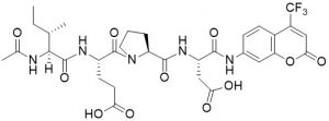 Ac-Ile-Glu-Pro-Asp-AFC (Granzyme B Substrate) - Echelon Biosciences