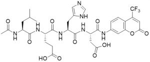 Ac-Leu-Glu-His-Asp-AFC (Caspase 9 Substrate) - Echelon Biosciences