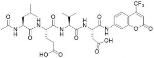 Ac-Leu-Glu-Val-Asp-AFC (Caspase 4 (ICH-2) Substrate) - Echelon Biosciences