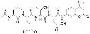 Ac-Leu-Glu-Thr-Asp-AFC (Caspase 8 Substrate) - Echelon Biosciences