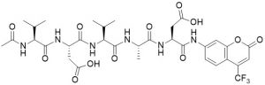 Ac-Val-Asp-Val-Ala-Asp-AFC (Caspase 2 (ICH-1) Substrate) - Echelon Biosciences