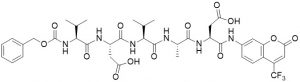 Z-Val-Asp-Val-Ala-Asp-AFC (Caspase 2 (ICH-1) Substrate) - Echelon Biosciences