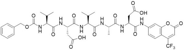Z-Val-Asp-Val-Ala-Asp-AFC (Caspase 2 (ICH-1) Substrate) - Echelon Biosciences