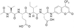 Ac-VEID-AFC (Caspase 6 (Mch2) Substrate) - Echelon Biosciences
