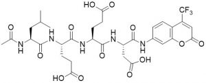 Ac-Leu-Glu-Glu-Asp-AFC (Caspase 13 Substrate) - Echelon Biosciences