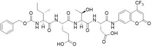 Z-Ile-Glu-Thr-Asp-AFC (Granzyme B Substrate) - Echelon Biosciences