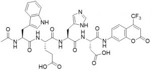 Ac-Trp-Glu-His-Asp-AFC (Caspase 1 Substrate) - Echelon Biosciences