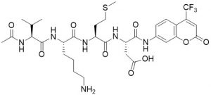 Ac-Val-Lys-Met-Asp-AFC (Caspase Substrate) - Echelon Biosciences