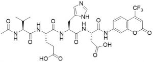 Ac-Val-Glu-His-Asp-AFC (Caspase Substrate) - Echelon Biosciences